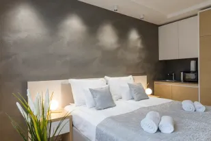 Central Apartman Vrnjacka Banja