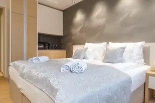 Central Apartman Vrnjacka Banja
