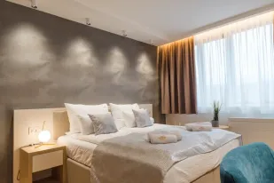 Apartman Central Vrnjacka Banja