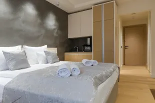 Apartman Central Vrnjacka Banja