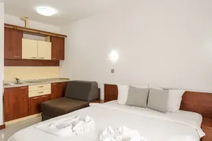 Central Apartman Vrnjacka Banja