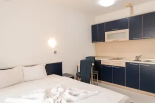 Central Apartman Vrnjacka Banja