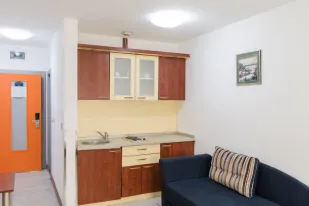 Apartman Central Vrnjacka Banja