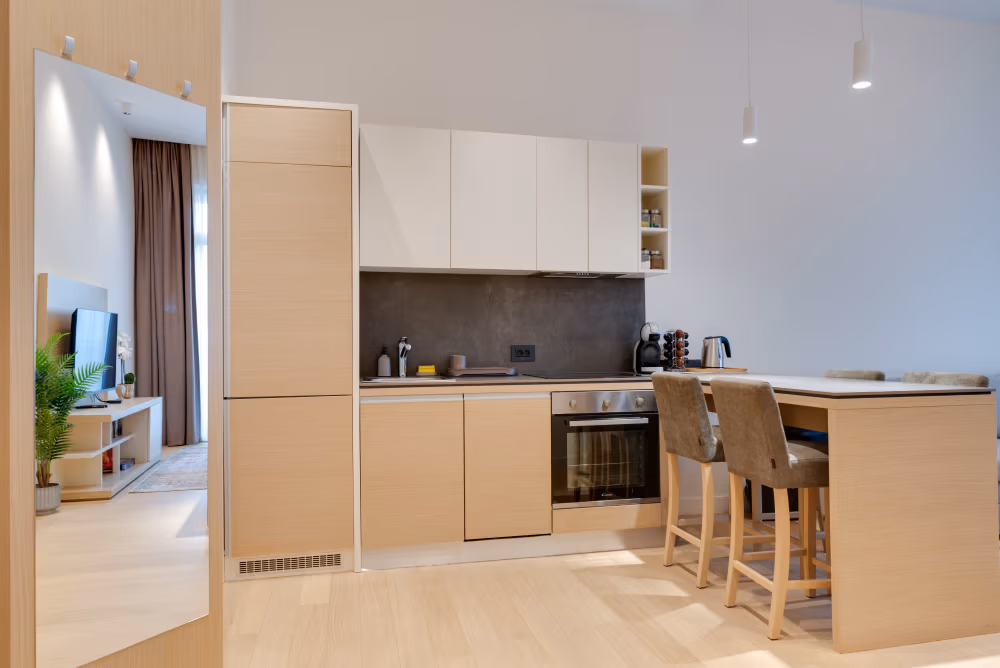 Deluxe one Bedroom Apartment with Terrace