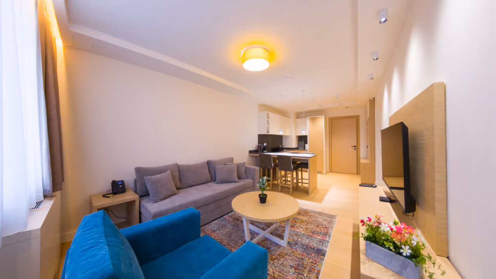 Deluxe One Bedroom Apartment with City View